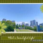 ヒメ日記 2025/05/14 07:00 投稿 おとは 性腺熟女100％鶯谷（デリヘル市場）