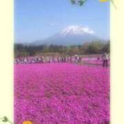 ヒメ日記 2025/05/17 07:00 投稿 おとは 性腺熟女100％鶯谷（デリヘル市場）