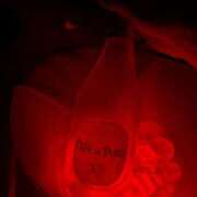 ヒメ日記 2025/09/12 09:39 投稿 えり カルテDayShift（新宿）