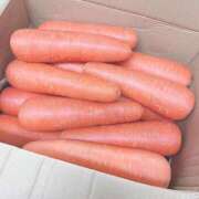 ひかり にんじん乞食🐰 横浜Cute