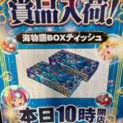 ヒメ日記 2025/04/29 00:40 投稿 三条つばき 五十路マダム 岐阜店