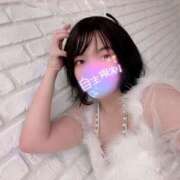 ヒメ日記 2025/10/24 06:16 投稿 サツキ ラブコレクション