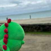 ヒメ日記 2025/11/30 07:01 投稿 サツキ ラブコレクション