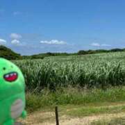 ヒメ日記 2025/12/07 06:46 投稿 サツキ ラブコレクション