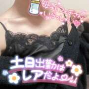 ヒメ日記 2025/05/09 13:25 投稿 たまみ ミセス ファースト -お姉さん・若妻専門店-