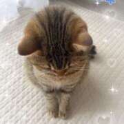 ヒメ日記 2025/05/13 09:45 投稿 ななこ 性腺熟女100％（デリヘル市場）