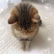 ヒメ日記 2025/06/28 09:00 投稿 ななこ 性腺熟女100％（デリヘル市場）