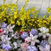 ヒメ日記 2025/07/13 11:00 投稿 ななこ 性腺熟女100％（デリヘル市場）