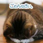 ヒメ日記 2025/09/04 08:00 投稿 ななこ 性腺熟女100％（デリヘル市場）