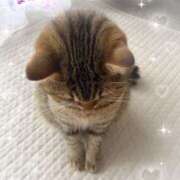 ヒメ日記 2025/10/08 08:00 投稿 ななこ 性腺熟女100％（デリヘル市場）