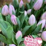 ヒメ日記 2026/01/30 21:00 投稿 ななこ 性腺熟女100％本店（デリヘル市場）