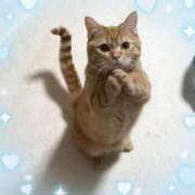 ヒメ日記 2026/02/08 11:00 投稿 ななこ 性腺熟女100％本店（デリヘル市場）