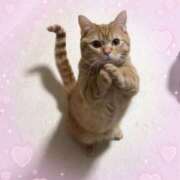 ななこ また誘ってね♡ 性腺熟女100％（デリヘル市場）