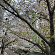 ヒメ日記 2026/04/07 20:15 投稿 ななこ 性腺熟女100％本店（デリヘル市場）