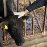 ありみ ★次回出勤は8/13頃です★ 熟女の風俗最終章 宇都宮店