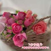 ヒメ日記 2025/10/05 00:05 投稿 裕木 奈江 熟女・人妻マダム宮殿