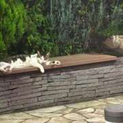 ヒメ日記 2025/07/03 10:07 投稿 津田 熟女の風俗最終章　鶯谷店