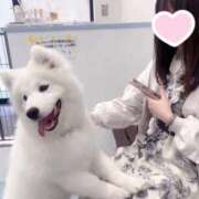 ヒメ日記 2025/05/04 05:00 投稿 ゆりか The White