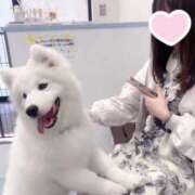 ヒメ日記 2025/06/12 12:14 投稿 ゆりか The White