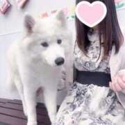 ヒメ日記 2025/07/22 19:35 投稿 ゆりか The White