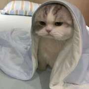 ヒメ日記 2025/05/02 08:03 投稿 なお AVANCE福岡