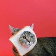 ヒメ日記 2025/05/08 16:44 投稿 なお AVANCE福岡