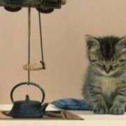 ヒメ日記 2025/05/29 20:13 投稿 なお AVANCE福岡