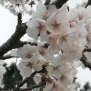 ヒメ日記 2025/05/26 22:48 投稿 けい 熟女＆人妻＆ぽっちゃり倶楽部