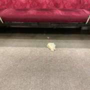 ヒメ日記 2025/05/30 01:10 投稿 さえ 厚木人妻城