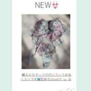 ヒメ日記 2025/07/01 22:00 投稿 及川かのん グランエステ東京 品川（シンデレラグループ）