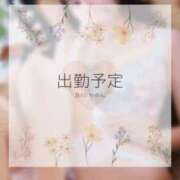 及川かのん ?11月増枠しました? グランエステ東京 品川（シンデレラグループ）