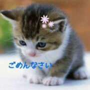 ヒメ日記 2025/05/15 23:45 投稿 ななこ 性腺熟女100％鶯谷（デリヘル市場）