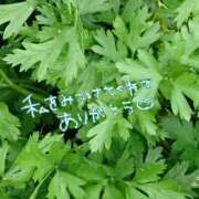 ヒメ日記 2025/06/07 08:30 投稿 ななこ 性腺熟女100％鶯谷（デリヘル市場）