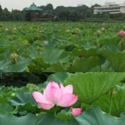 ヒメ日記 2025/07/08 15:10 投稿 ななこ 性腺熟女100％鶯谷（デリヘル市場）