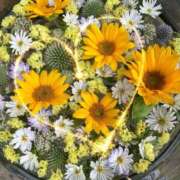 ヒメ日記 2025/07/20 10:00 投稿 ななこ 性腺熟女100％鶯谷（デリヘル市場）