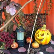 ななこ お知らせ 性腺熟女100％鶯谷（デリヘル市場）