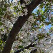 ヒメ日記 2026/04/06 20:00 投稿 ななこ 性腺熟女100％鶯谷（デリヘル市場）