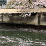 ヒメ日記 2026/04/07 18:00 投稿 ななこ 性腺熟女100％鶯谷（デリヘル市場）