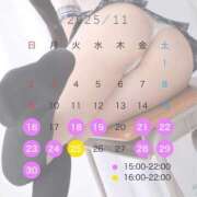 ヒメ日記 2025/11/16 16:21 投稿 みね プレミアム(福原)