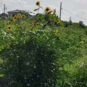 ヒメ日記 2025/07/10 11:20 投稿 やよい 錦糸町人妻花壇