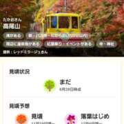 ヒメ日記 2025/10/16 22:15 投稿 やよい 錦糸町人妻花壇