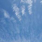 ヒメ日記 2025/10/18 10:19 投稿 やよい 錦糸町人妻花壇