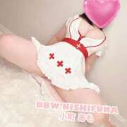 ヒメ日記 2025/11/21 09:11 投稿 小町 BBW西船橋店