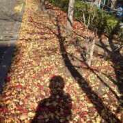 ヒメ日記 2025/12/08 08:30 投稿 みほ 熟女家 豊中蛍池店