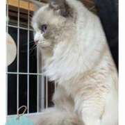 みほ 222 熟女家 豊中蛍池店