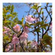 ヒメ日記 2026/03/20 10:38 投稿 みほ 熟女家 豊中蛍池店