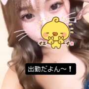 ヒメ日記 2025/07/07 13:32 投稿 せつな 厚木人妻城