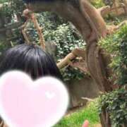 ヒメ日記 2025/05/22 06:55 投稿 あいか The White