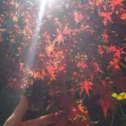 さおり おはようございます 出会い系人妻ネットワーク 渋谷〜目黒編