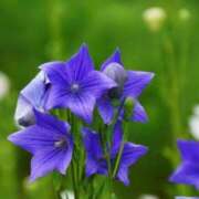 ヒメ日記 2025/09/07 17:41 投稿 ゆか 出会い系人妻ネットワーク 渋谷〜目黒編